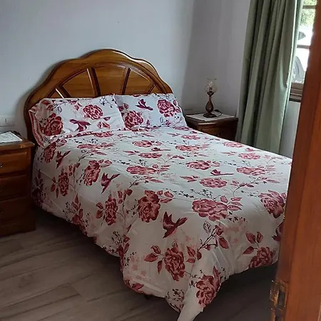 Apartment Florentina